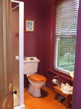 Tairoa Lodge & Cottage Hawera Esterno foto