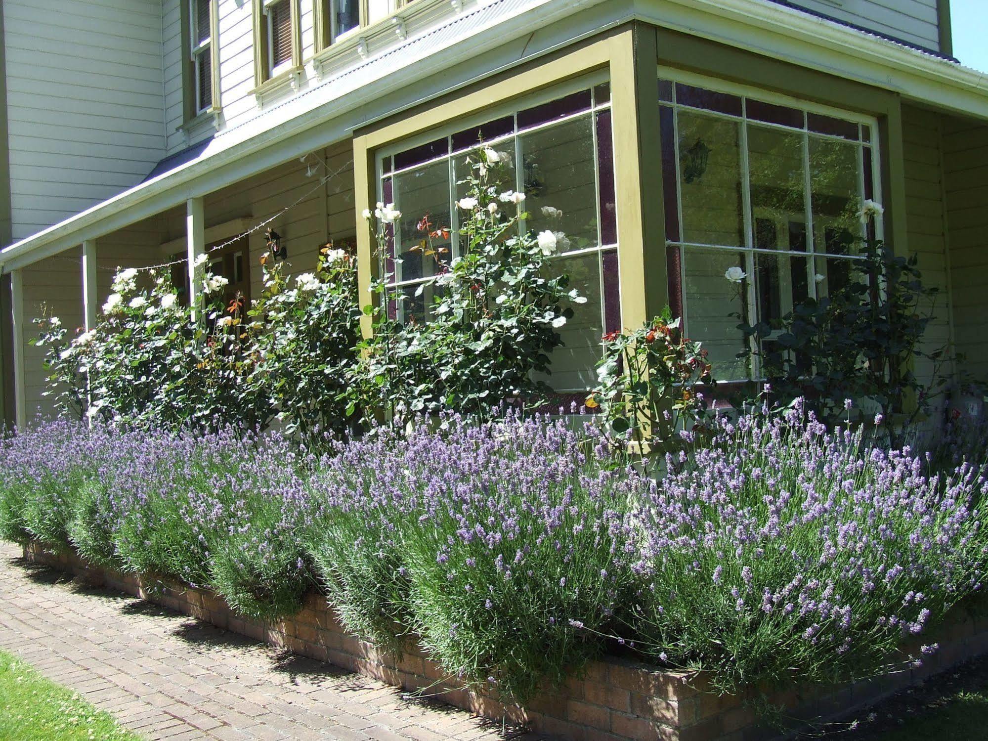 Tairoa Lodge & Cottage Hawera Esterno foto
